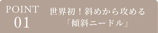 ポイント1、世界初！斜めから攻める傾斜ニードル